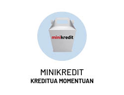 Minikredit