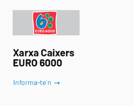 Red Cajeros Euro 6000